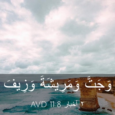 Picture 03 - ٢ أخبار 11:8 AVD - وَجَتَّ وَمَرِيشَةَ - Bible Verse Picture