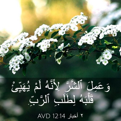 Picture 03 - ٢ أخبار 12:14 AVD - وَعَمِلَ ٱلشَّرَّ - Bible Verse Picture