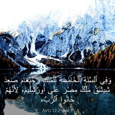 Picture 03 - ٢ أخبار 12:2 AVD - وَفِي ٱلسَّنَةِ - Bible Verse Picture
