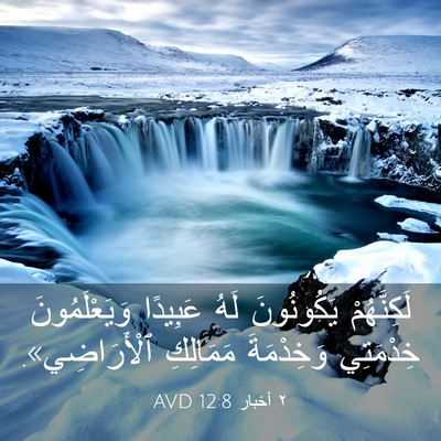 Picture 03 - ٢ أخبار 12:8 AVD - لَكِنَّهُمْ يَكُونُونَ - Bible Verse Picture