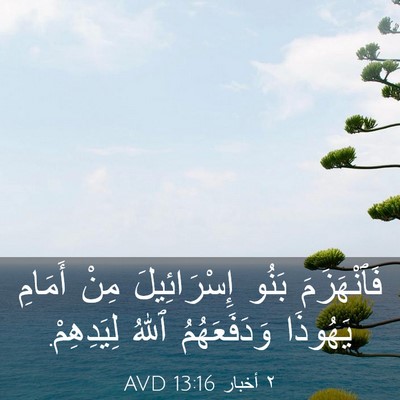 Picture 03 - ٢ أخبار 13:16 AVD - فَٱنْهَزَمَ بَنُو - Bible Verse Picture