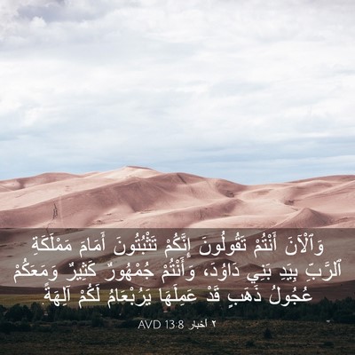 Picture 03 - ٢ أخبار 13:8 AVD - وَٱلْآنَ أَنْتُمْ - Bible Verse Picture
