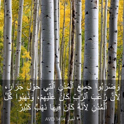 Picture 03 - ٢ أخبار 14:14 AVD - وَضَرَبُوا جَمِيعَ - Bible Verse Picture