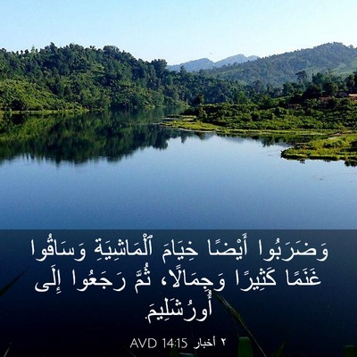 Picture 03 - ٢ أخبار 14:15 AVD - وَضَرَبُوا أَيْضًا - Bible Verse Picture