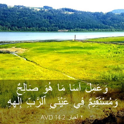 Picture 03 - ٢ أخبار 14:2 AVD - وَعَمِلَ آسَا مَا هُوَ - Bible Verse Picture