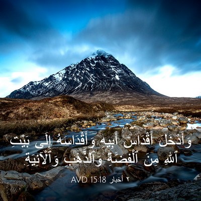 Picture 03 - ٢ أخبار 15:18 AVD - وَأَدْخَلَ أَقْدَاسَ - Bible Verse Picture