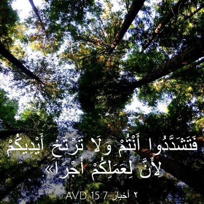 Picture 03 - ٢ أخبار 15:7 AVD - فَتَشَدَّدُوا أَنْتُمْ - Bible Verse Picture