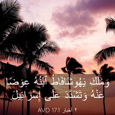Picture 03 - ٢ أخبار 17:1 AVD - وَمَلَكَ يَهُوشَافَاطُ - Bible Verse Picture