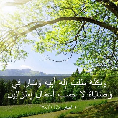 Picture 03 - ٢ أخبار 17:4 AVD - وَلَكِنَّهُ طَلَبَ إِلَهَ - Bible Verse Picture