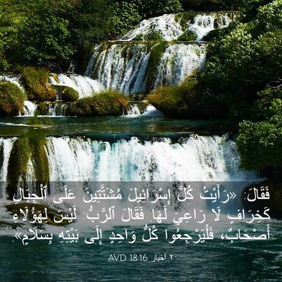 Picture 03 - ٢ أخبار 18:16 AVD - فَقَالَ: «رَأَيْتُ كُلَّ - Bible Verse Picture
