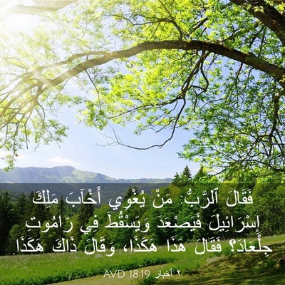 Picture 03 - ٢ أخبار 18:19 AVD - فَقَالَ ٱلرَّبُّ: مَنْ - Bible Verse Picture