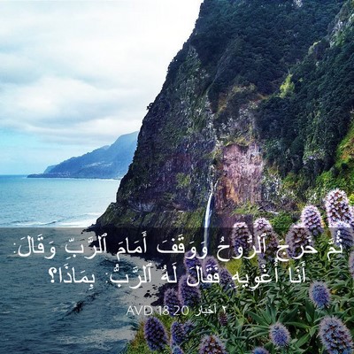 Picture 03 - ٢ أخبار 18:20 AVD - ثُمَّ خَرَجَ ٱلرُّوحُ - Bible Verse Picture