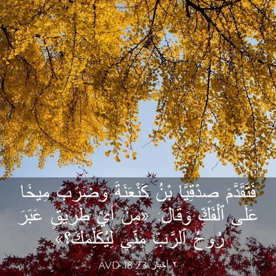 Picture 03 - ٢ أخبار 18:23 AVD - فَتَقَدَّمَ صِدْقِيَّا - Bible Verse Picture