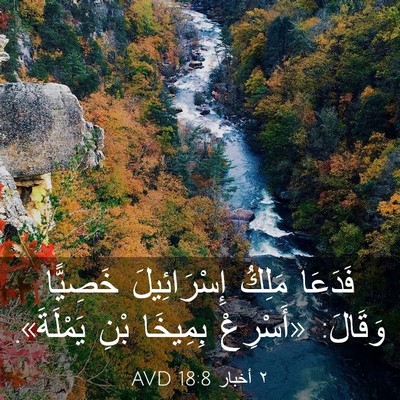 Picture 03 - ٢ أخبار 18:8 AVD - فَدَعَا مَلِكُ - Bible Verse Picture