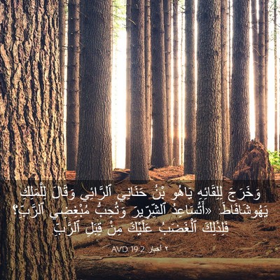 Picture 03 - ٢ أخبار 19:2 AVD - وَخَرَجَ لِلِقَائِهِ - Bible Verse Picture