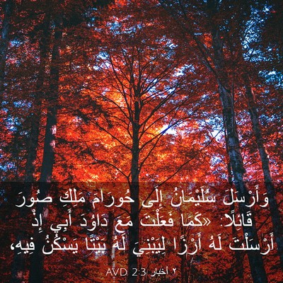 Picture 03 - ٢ أخبار 2:3 AVD - وَأَرْسَلَ سُلَيْمَانُ - Bible Verse Picture