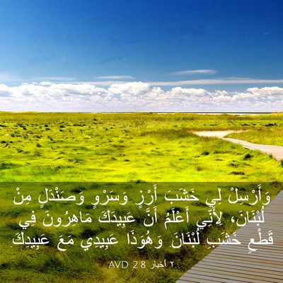Picture 03 - ٢ أخبار 2:8 AVD - وَأَرْسِلْ لِي خَشَبَ - Bible Verse Picture