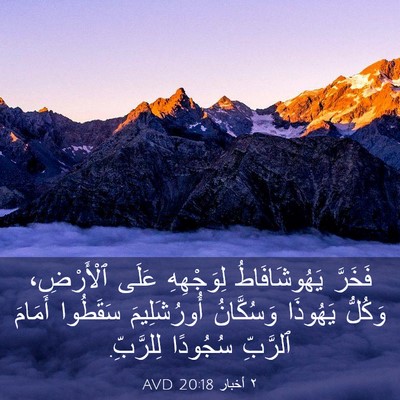 Picture 03 - ٢ أخبار 20:18 AVD - فَخَرَّ يَهُوشَافَاطُ - Bible Verse Picture