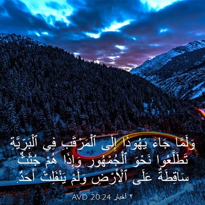 Picture 03 - ٢ أخبار 20:24 AVD - وَلَمَّا جَاءَ يَهُوذَا - Bible Verse Picture
