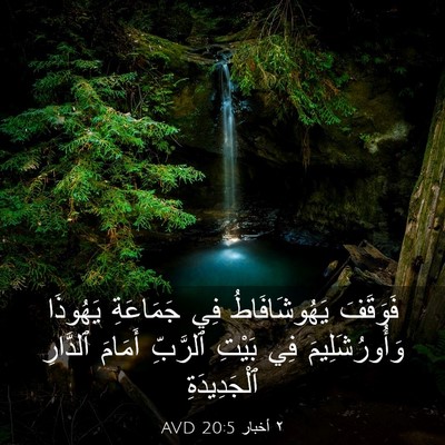Picture 03 - ٢ أخبار 20:5 AVD - فَوَقَفَ يَهُوشَافَاطُ - Bible Verse Picture