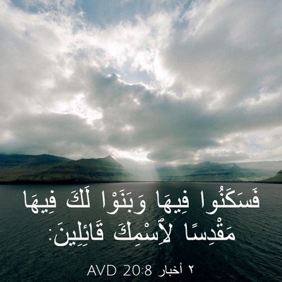 Picture 03 - ٢ أخبار 20:8 AVD - فَسَكَنُوا فِيهَا - Bible Verse Picture