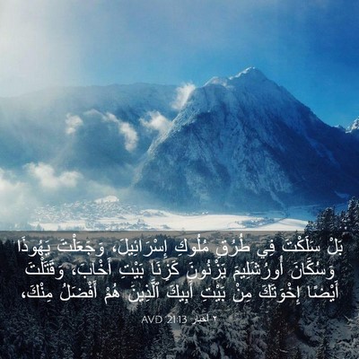 Picture 03 - ٢ أخبار 21:13 AVD - بَلْ سَلَكْتَ فِي طُرُقِ - Bible Verse Picture