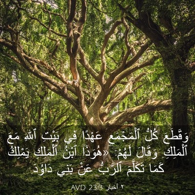 Picture 03 - ٢ أخبار 23:3 AVD - وَقَطَعَ كُلُّ - Bible Verse Picture