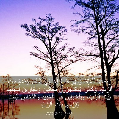Picture 03 - ٢ أخبار 24:12 AVD - وَدَفَعَهَا ٱلْمَلِكُ - Bible Verse Picture