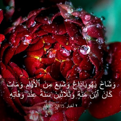 Picture 03 - ٢ أخبار 24:15 AVD - وَشَاخَ يَهُويَادَاعُ - Bible Verse Picture