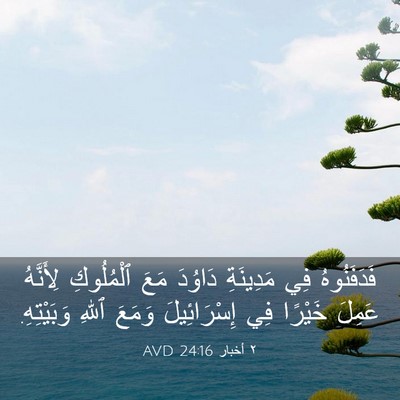 Picture 03 - ٢ أخبار 24:16 AVD - فَدَفَنُوهُ فِي مَدِينَةِ - Bible Verse Picture