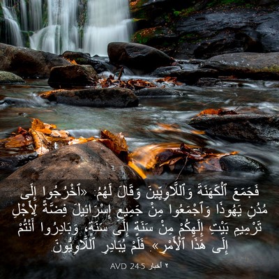 Picture 03 - ٢ أخبار 24:5 AVD - فَجَمَعَ ٱلْكَهَنَةَ - Bible Verse Picture