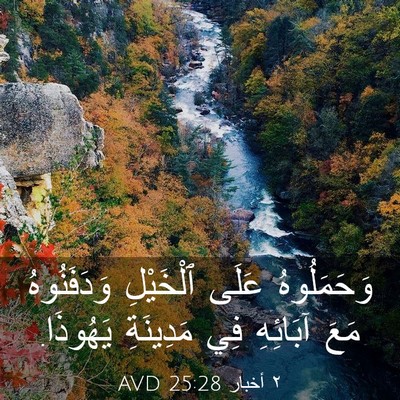 Picture 03 - ٢ أخبار 25:28 AVD - وَحَمَلُوهُ عَلَى - Bible Verse Picture