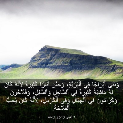 Picture 03 - ٢ أخبار 26:10 AVD - وَبَنَى أَبْرَاجًا فِي - Bible Verse Picture