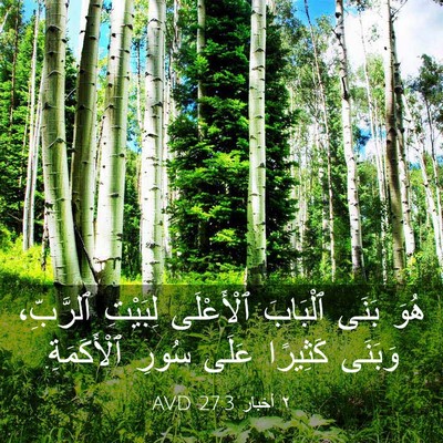 Picture 03 - ٢ أخبار 27:3 AVD - هُوَ بَنَى ٱلْبَابَ - Bible Verse Picture