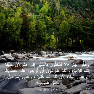 Picture 03 - ٢ أخبار 28:13 AVD - وَقَالُوا لَهُمْ: «لَا - Bible Verse Picture