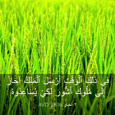 Picture 03 - ٢ أخبار 28:16 AVD - فِي ذَلِكَ ٱلْوَقْتِ - Bible Verse Picture