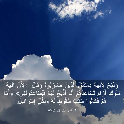 Picture 03 - ٢ أخبار 28:23 AVD - وَذَبَحَ لِآلِهَةِ - Bible Verse Picture