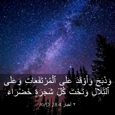 Picture 03 - ٢ أخبار 28:4 AVD - وَذَبَحَ وَأَوْقَدَ عَلَى - Bible Verse Picture