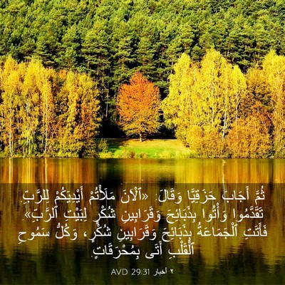 Picture 03 - ٢ أخبار 29:31 AVD - ثُمَّ أَجَابَ حَزَقِيَّا - Bible Verse Picture