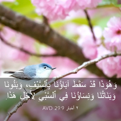 Picture 03 - ٢ أخبار 29:9 AVD - وَهُوَذَا قَدْ سَقَطَ - Bible Verse Picture