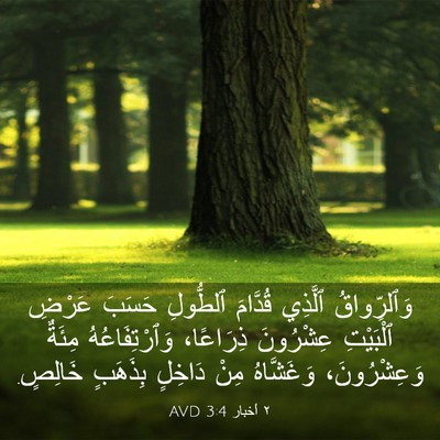 Picture 03 - ٢ أخبار 3:4 AVD - وَٱلرِّواقُ ٱلَّذِي - Bible Verse Picture