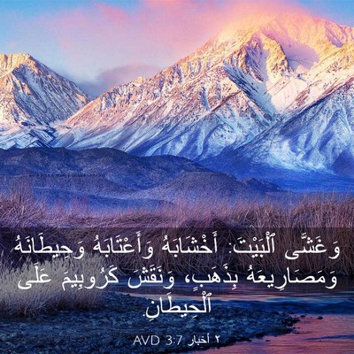 Picture 03 - ٢ أخبار 3:7 AVD - وَغَشَّى ٱلْبَيْتَ: - Bible Verse Picture