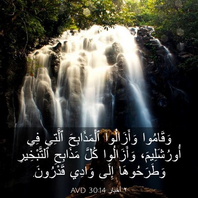 Picture 03 - ٢ أخبار 30:14 AVD - وَقَامُوا وَأَزَالُوا - Bible Verse Picture