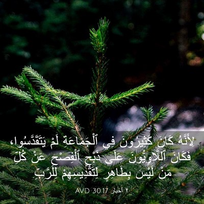 Picture 03 - ٢ أخبار 30:17 AVD - لِأَنَّهُ كَانَ - Bible Verse Picture
