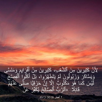 Picture 03 - ٢ أخبار 30:18 AVD - لِأَنَّ كَثِيرِينَ مِنَ - Bible Verse Picture