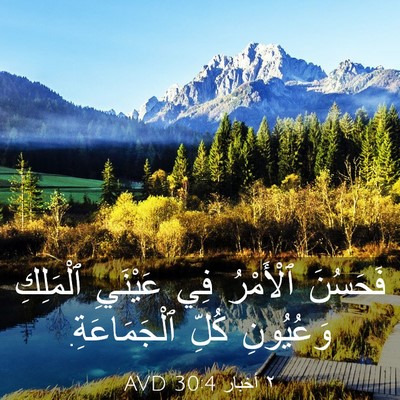 Picture 03 - ٢ أخبار 30:4 AVD - فَحَسُنَ ٱلْأَمْرُ فِي - Bible Verse Picture