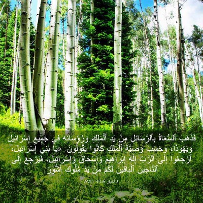 Picture 03 - ٢ أخبار 30:6 AVD - فَذَهَبَ ٱلسُّعَاةُ - Bible Verse Picture