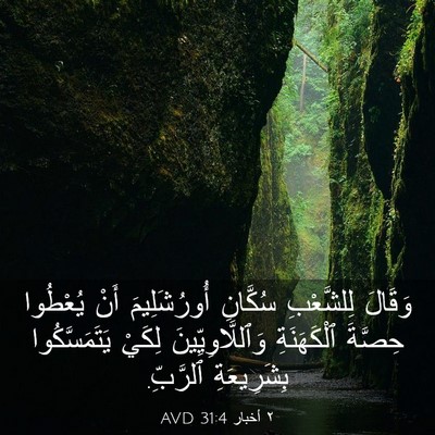 Picture 03 - ٢ أخبار 31:4 AVD - وَقَالَ لِلشَّعْبِ - Bible Verse Picture