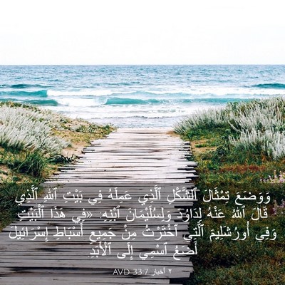 Picture 03 - ٢ أخبار 33:7 AVD - وَوَضَعَ تِمْثَالَ - Bible Verse Picture