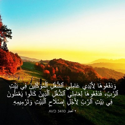 Picture 03 - ٢ أخبار 34:10 AVD - وَدَفَعُوهَا لِأَيْدِي - Bible Verse Picture